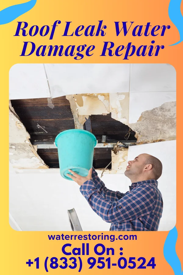 Roof Leak Water Damage Repair in Cotati, CA